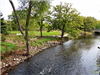 Cottageville Park Closeup of Creek