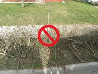 Brush Pile With Red No Sign