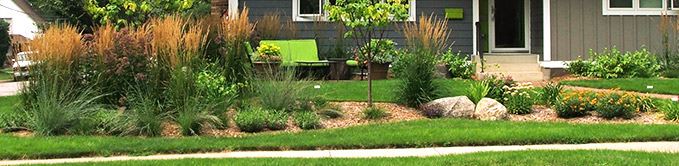 Yard with Landscaping Work