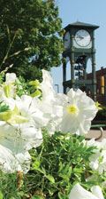 clock-tower-plaza