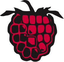 MN Hopkins Home Page